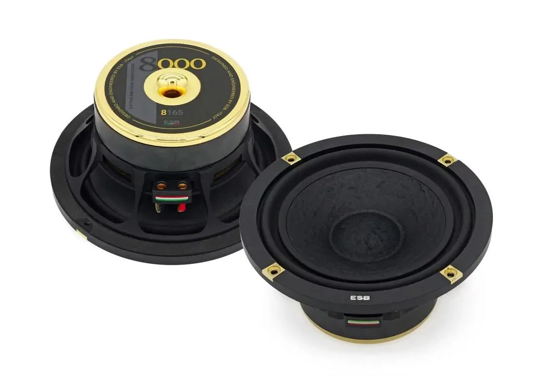 Мидбас ESB 8.165 - фото