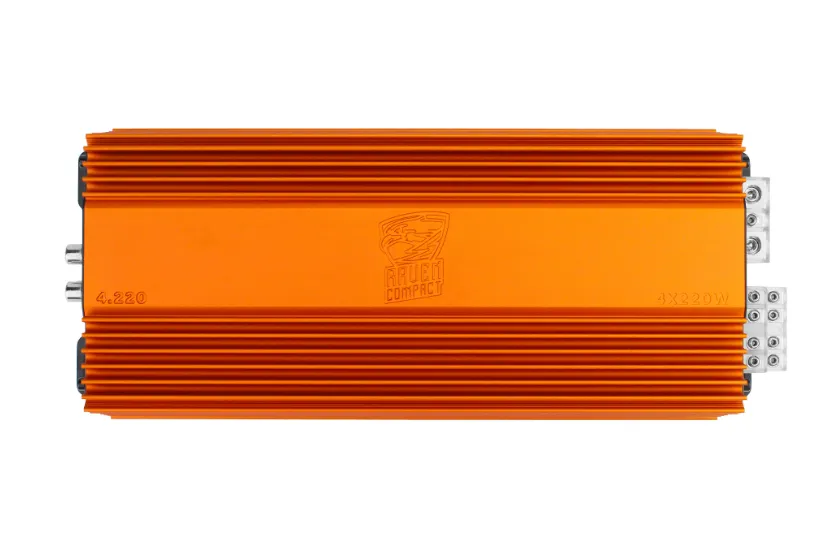 изображение_2025-02-27_002613372