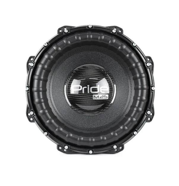 изображение_2024-04-25_234259250