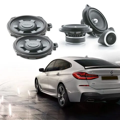 Акустика штатная Focal BMW Standart Pack - фото