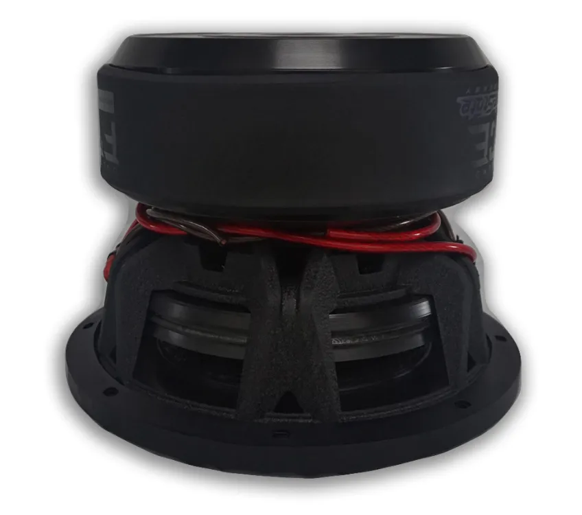 изображение_2024-03-04_230404963