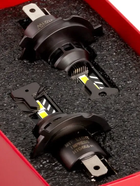 изображение_2025-02-27_231741922