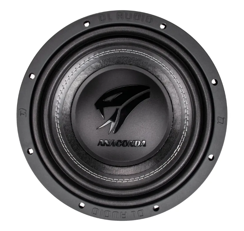 изображение_2023-12-24_100337106