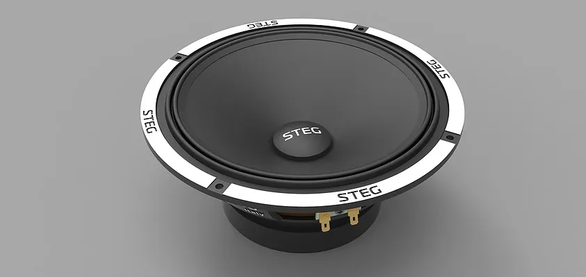 СЧ динамик Steg K8 - фото