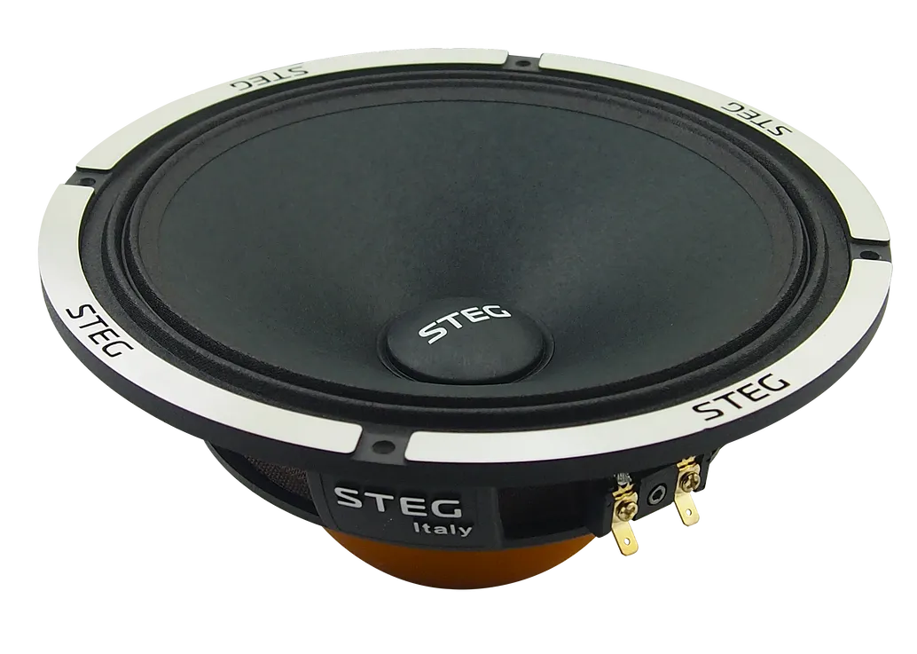 СЧ динамик Steg N8 - фото