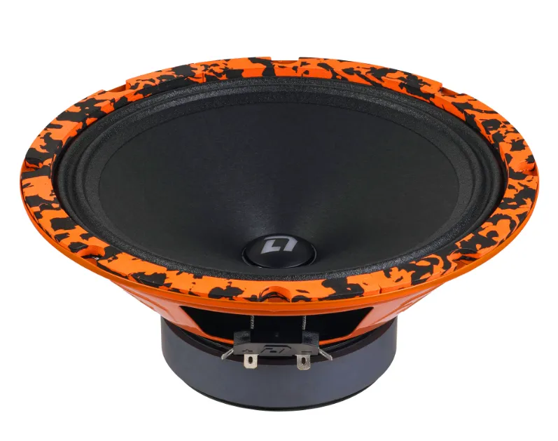 изображение_2024-12-11_005157443