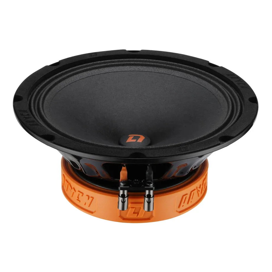СЧ динамики DL Audio Raven 200 - фото