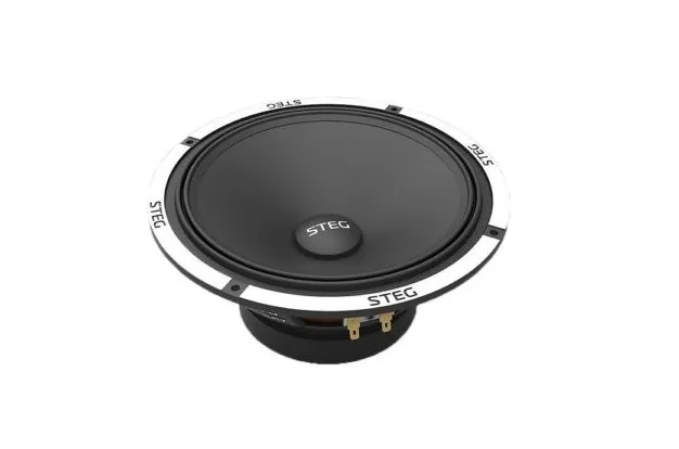 СЧ динамик Steg F8 - фото