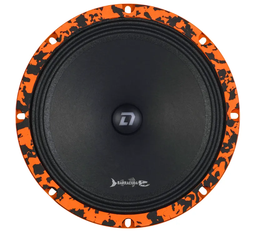 изображение_2024-12-11_005150722