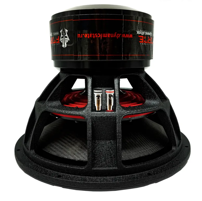 изображение_2024-03-04_231619091