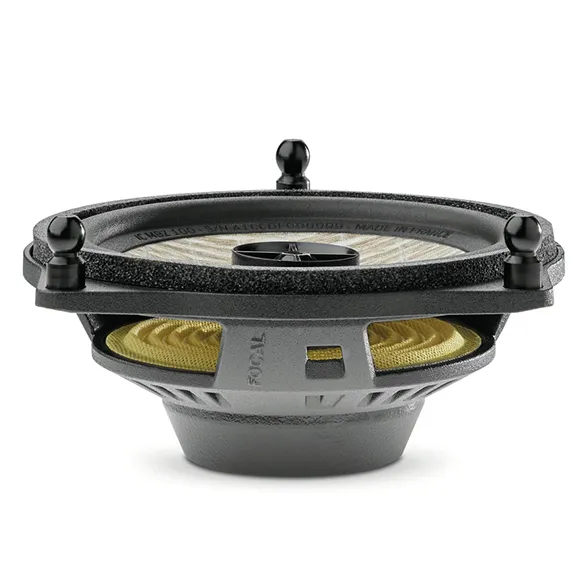 ic_mbz_100_prof[1]