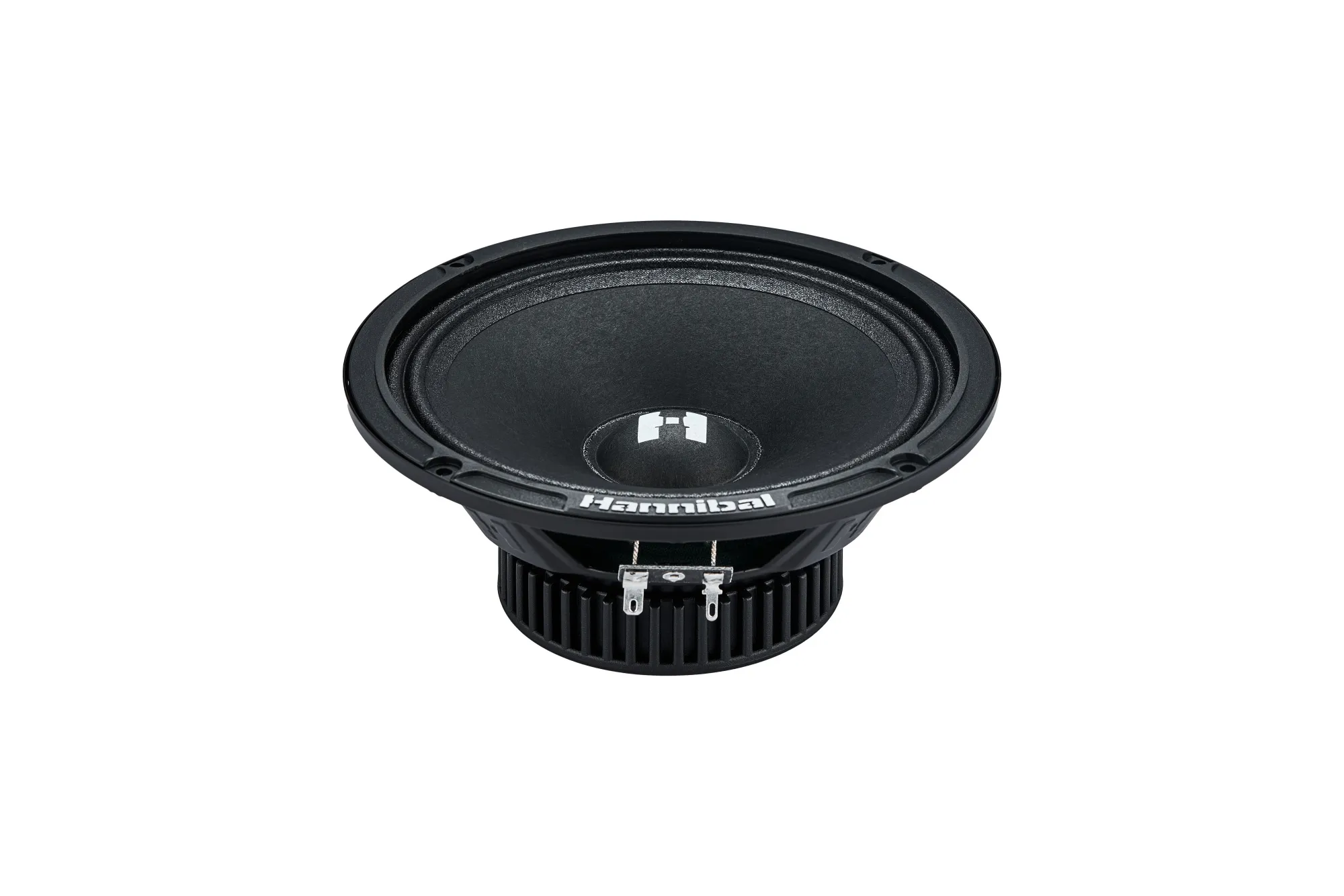 СЧ динамики Deaf Bonce Hannibal HM-6E+ - фото